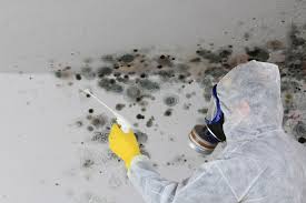 Best Mold Remediation for Healthcare Facilities  in Lakeland South, WA